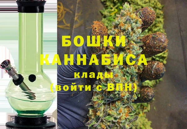 спайс Богданович
