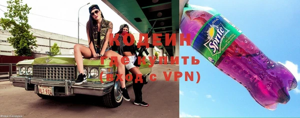 стафф Струнино