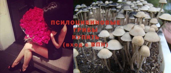 мескалин Балахна