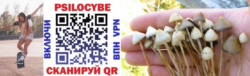 где можно купить наркотик  Вуктыл  Псилоцибиновые грибы GOLDEN TEACHER 