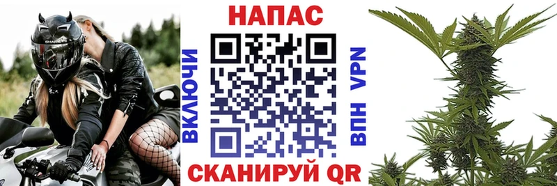 Бошки Шишки индика Вуктыл